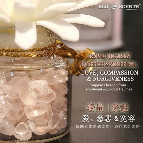 Wealth Blossom 3.0