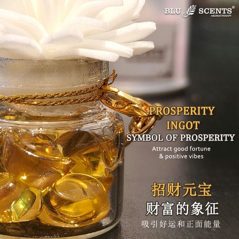 Wealth Blossom 3.0