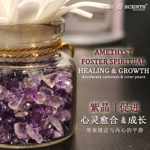 Wealth Blossom 3.0